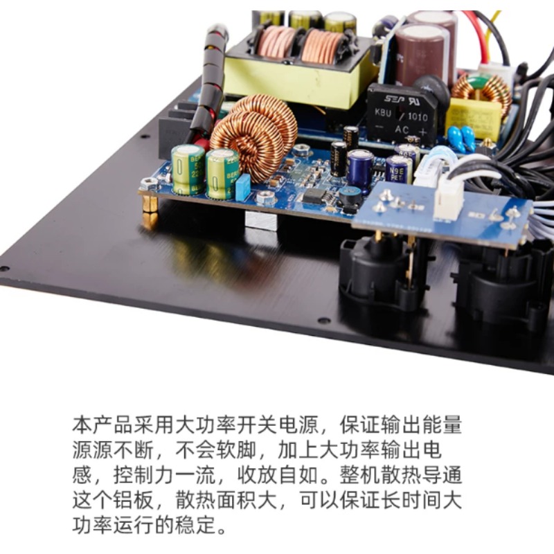 Balanced Signal Input TPA3255  - огляд і ціна Hifi Amplifier Board