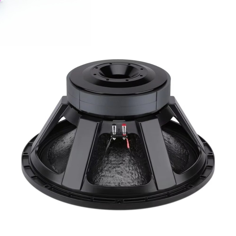 21 Inch Big Magnet High Power  - огляд і ціна Subwoofer